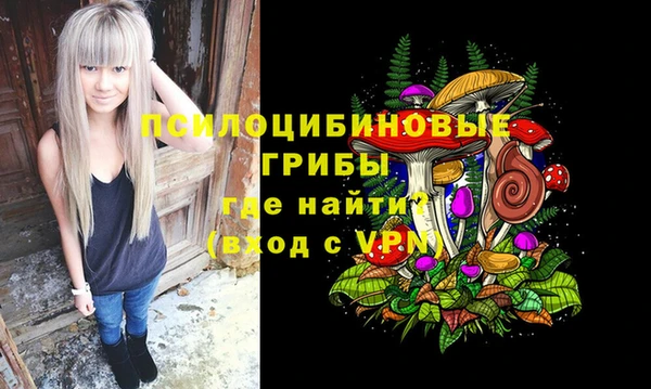 герыч Гусь-Хрустальный