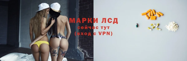 дурь Гусев