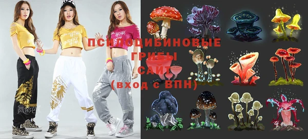 MDMA Premium VHQ Гусиноозёрск