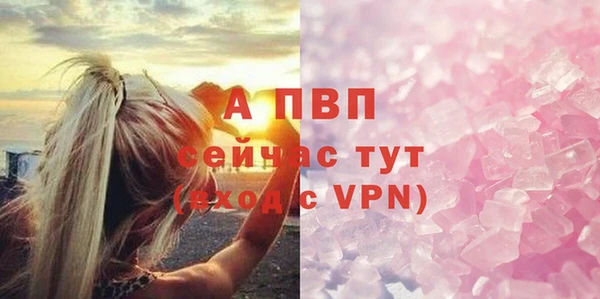 дурь Гусев