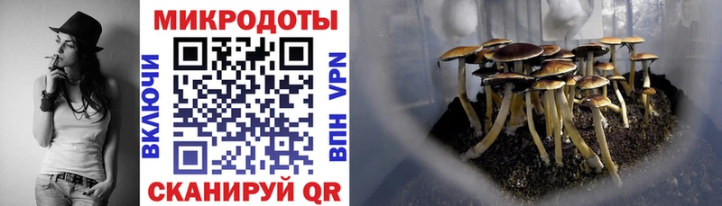 Псилоцибиновые грибы мухоморы  Купить где  Россошь 